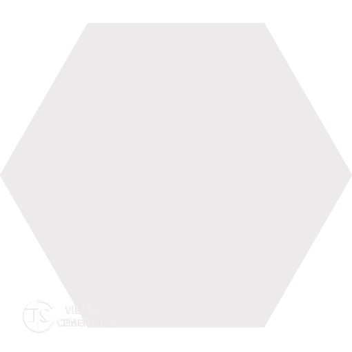 Encaustic cement tile Hexagon CTS