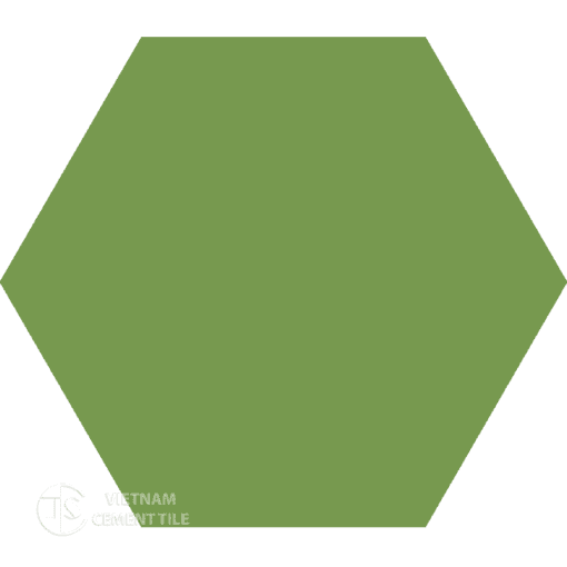 Encaustic cement tile Hexagon CTS