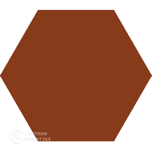 Encaustic cement tile Hexagon CTS