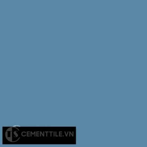 Gạch bông CTS 10 - Encaustic cement tile CTS 10