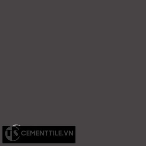 Gạch bông CTS 13 - Encaustic cement tile CTS 13
