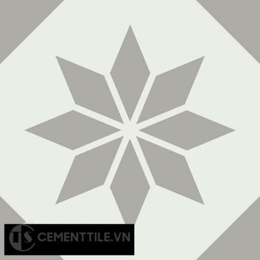 Gạch bông CTS 150.1(4-9) - Encaustic cement tile CTS 150.1(4-9)