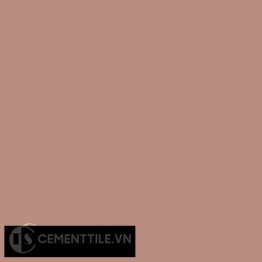 Gạch bông CTS 18 - Encaustic cement tile CTS 18