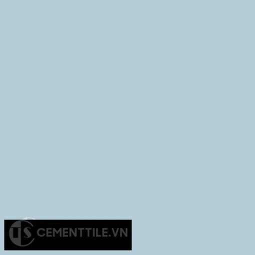 Gạch bông CTS 2 - Encaustic cement tile CTS 2