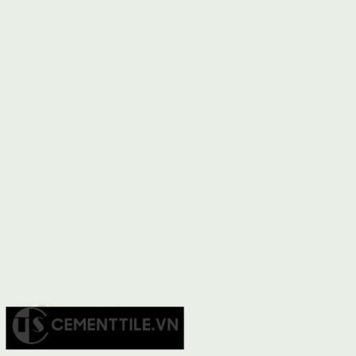 Gạch bông CTS 4 - Encaustic cement tile CTS 4