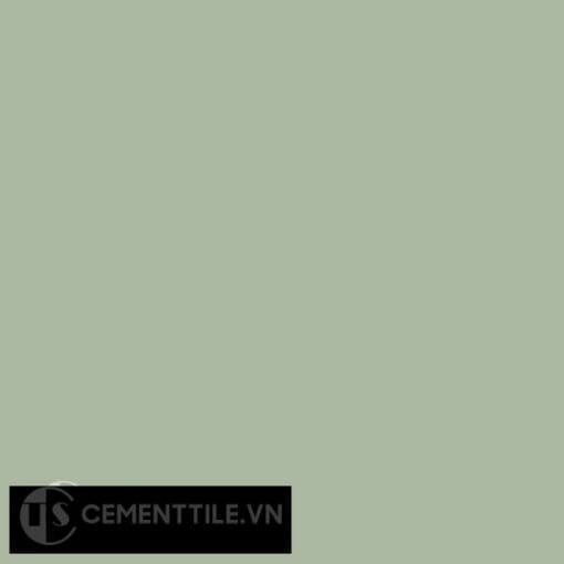 Gạch bông CTS 7 - Encaustic cement tile CTS 7