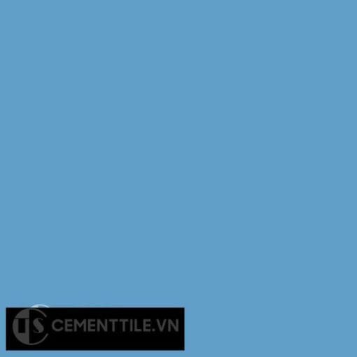 Gạch bông CTS 8 - Encaustic cement tile CTS 8