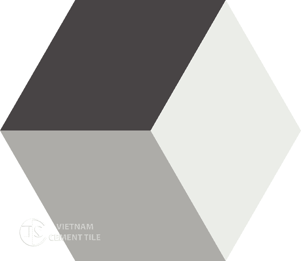 Gạch bông lục giác CTS H401.1(4-9-13) - Encaustic cement tile Hexagon CTS H401.1(4-9-13)