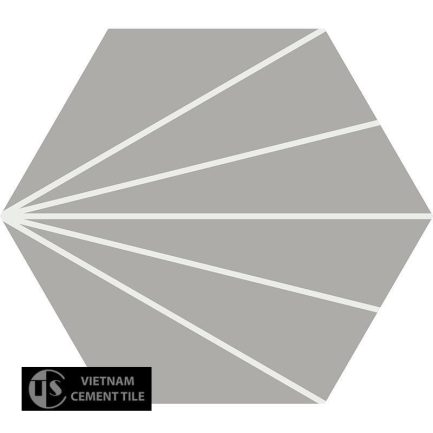 Gạch bông CTS 402.5(4-9) - Encaustic cement tile CTS 402.5(4-9)
