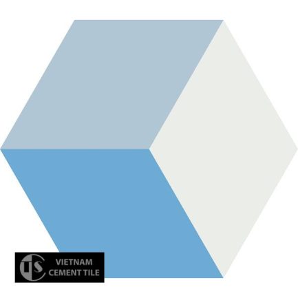 Gạch bông lục giác CTS H401.2(4-20-31) - Encaustic cement tile Hexagon CTS H401.2(4-20-31)