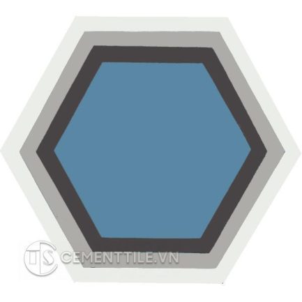 Gạch bông lục giác CTS H405.1(4-9-10-13) - Encaustic cement tile Hexagon CTS H405.1(4-9-10-13)