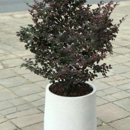 Chậu đá mài hình giọt nước 30×50cm